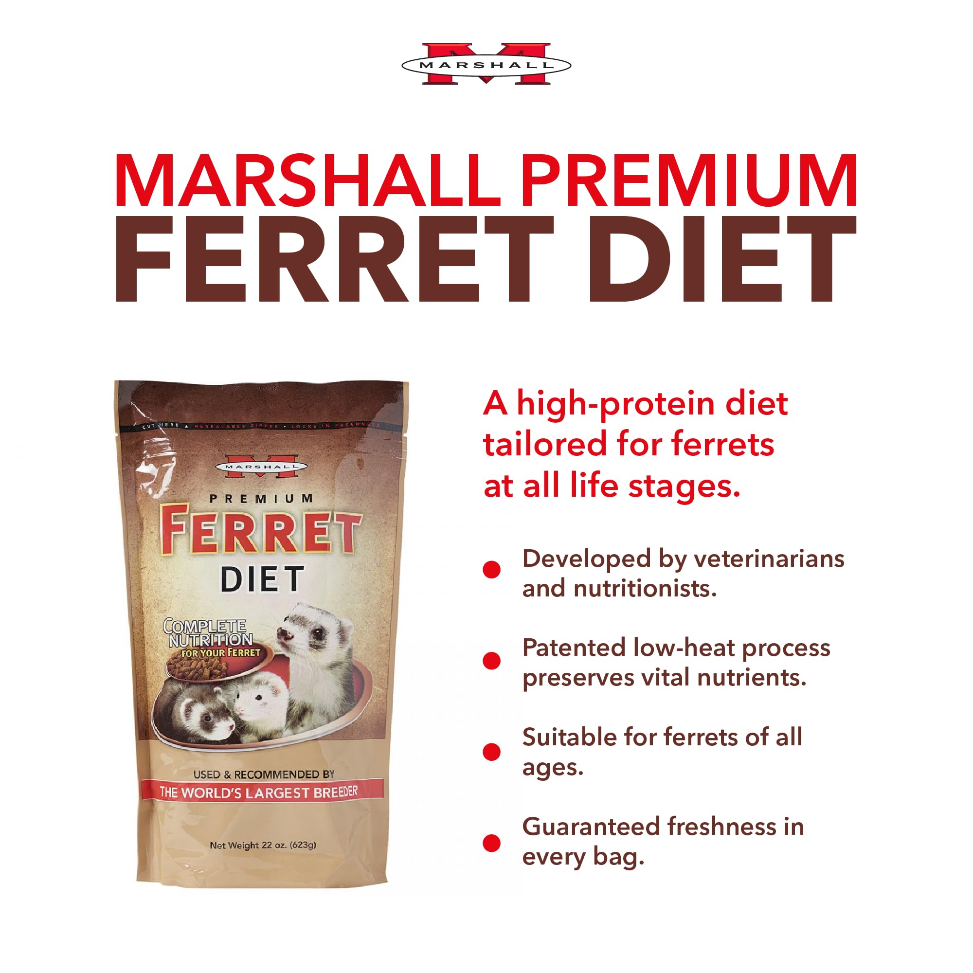 Amazon | マーシャル プレミアムフェレットフード 623g 2個セット